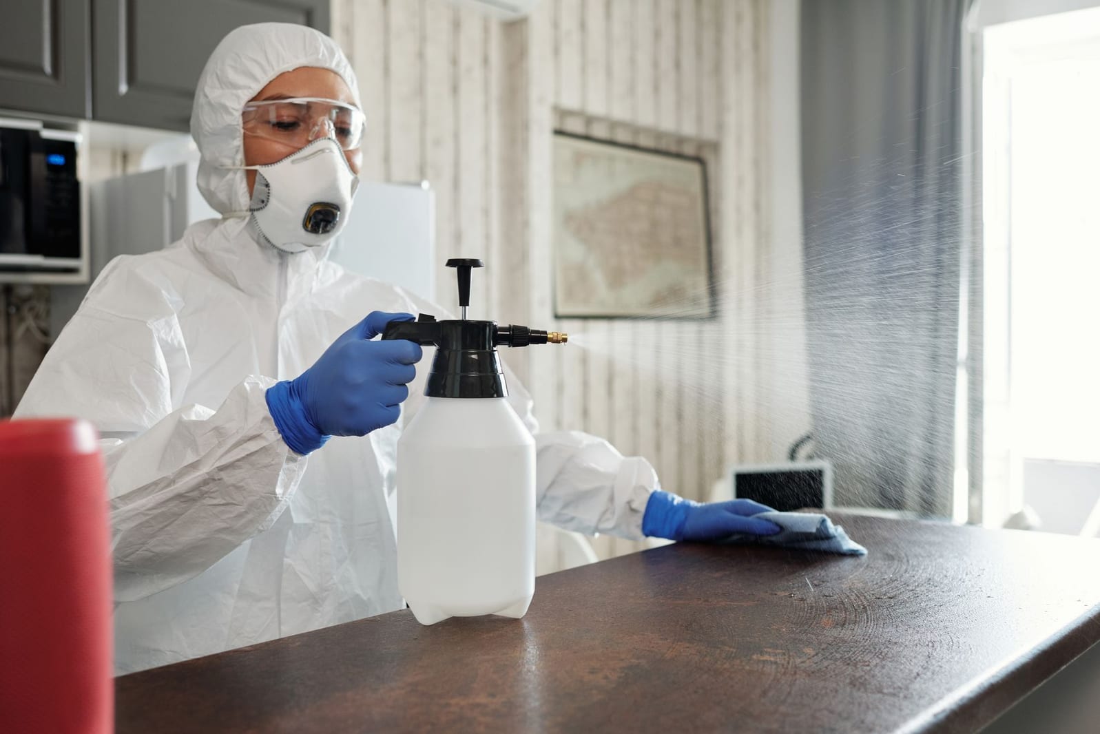 A licensed technician treating a kitchen surface with a handheld pump sprayer